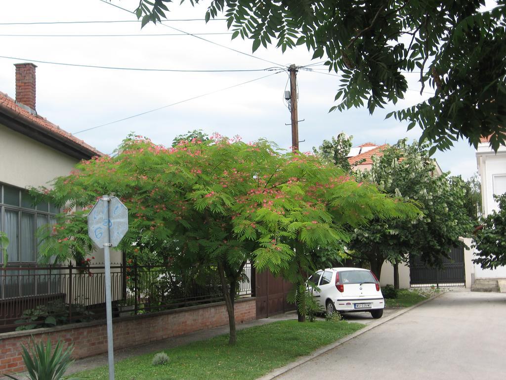 Green Apartment โนวีซาด ภายนอก รูปภาพ
